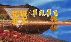 稻城亞丁、新都橋純玩五日游-單汽單飛